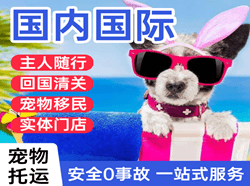 安顺黄果树机场快递国际宠物托运 【国